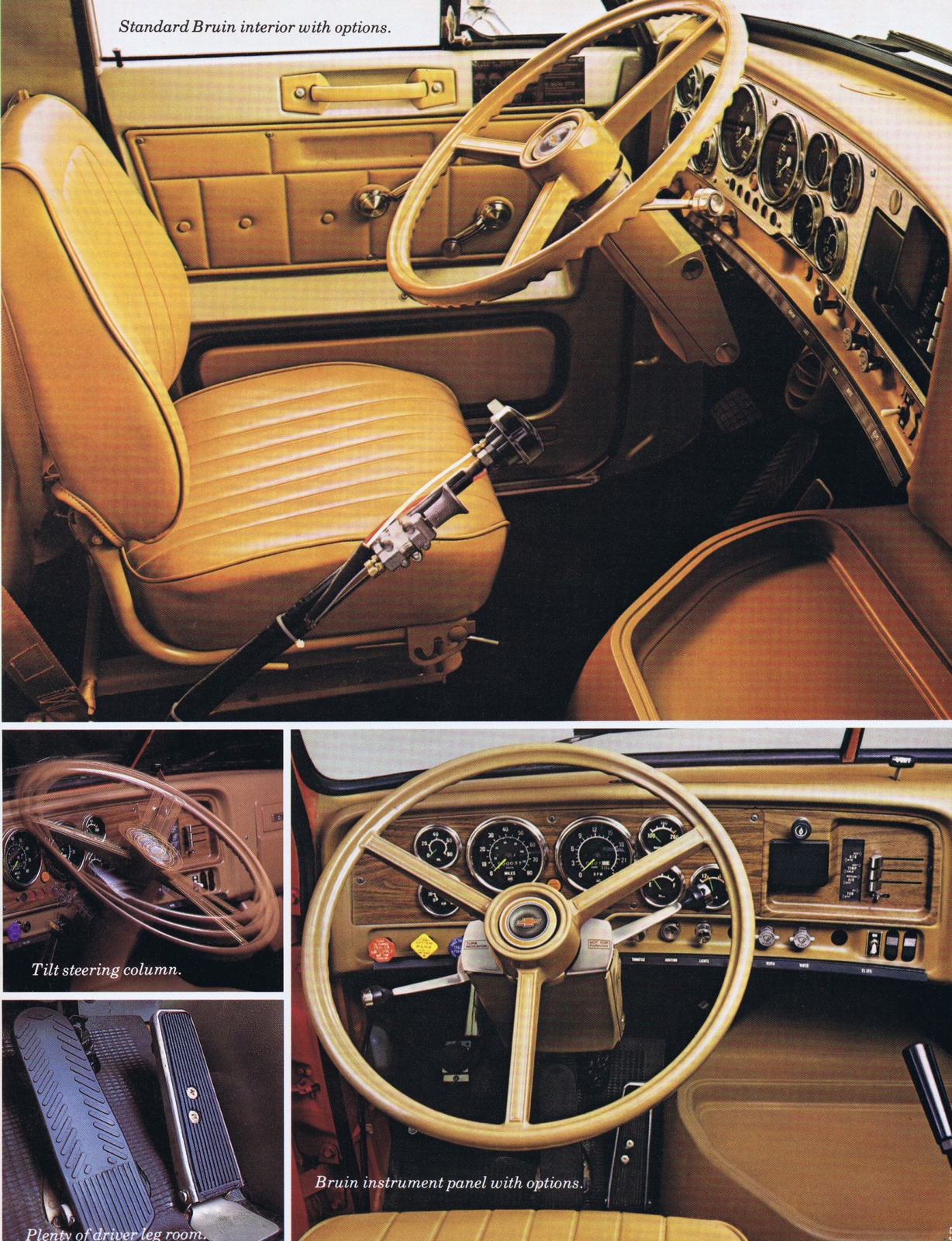 n_1979 Chevrolet Bruin-05.jpg